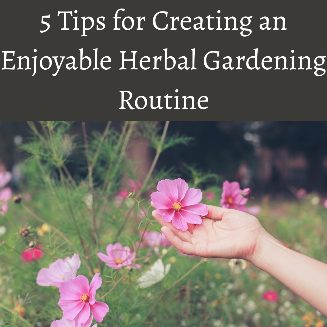 Creating a Consistent & Joyful Herbal Gardening Routine at Home