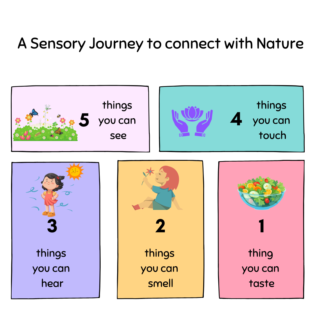 Cultivating Well-Being with Healing Seed Kits: A Journey through the Five Senses
