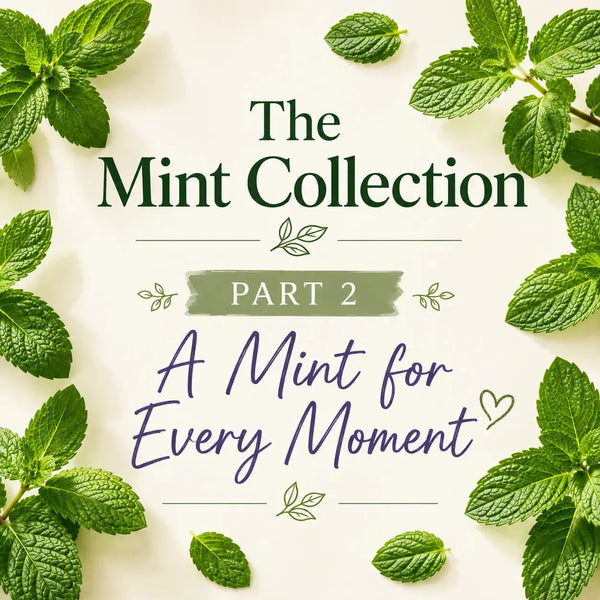 Recipes • Tea • Summer Drinks • Cooking • Choosing the Right Mint