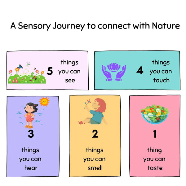 Cultivating Well-Being with Healing Seed Kits: A Journey through the Five Senses