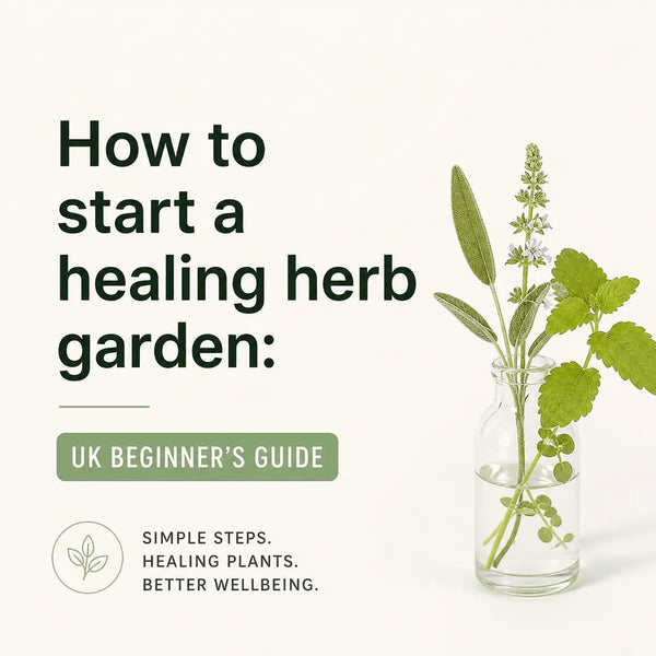How to start a healing herb garden: UK beginner