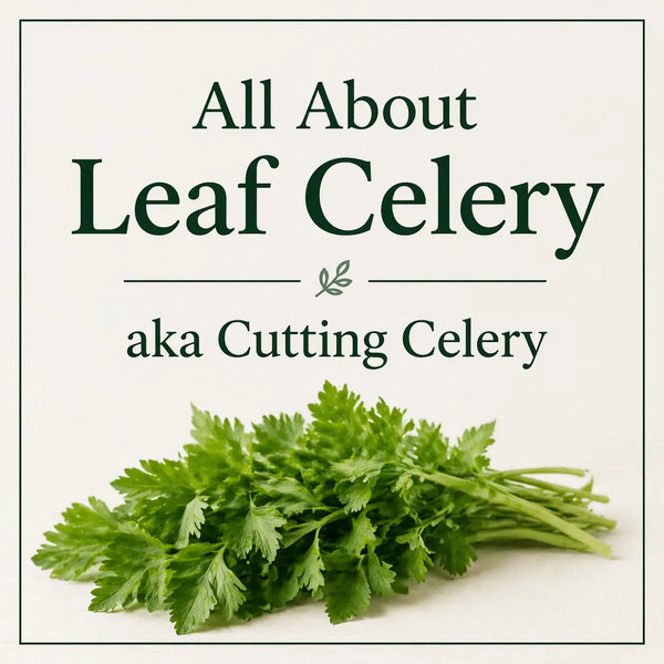 Leaf Celery: The Forgotten Herb That Transforms Your Cooking