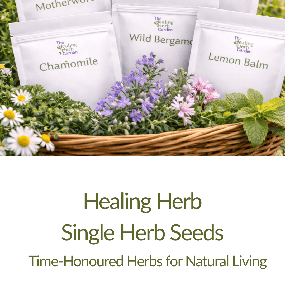 Single Herb Seeds - The Healing Herb Garden