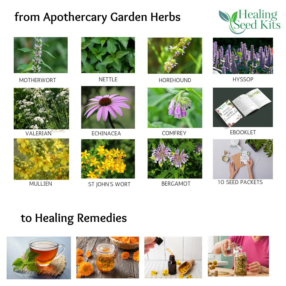 Apothecary Garden Herb Seeds