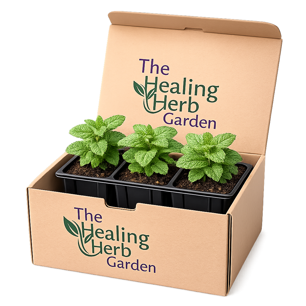 Mother’s Day Mint Wellness Set