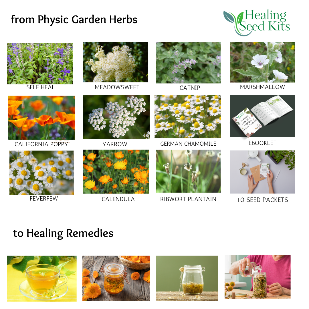 Physic Garden Herb Seed Kit