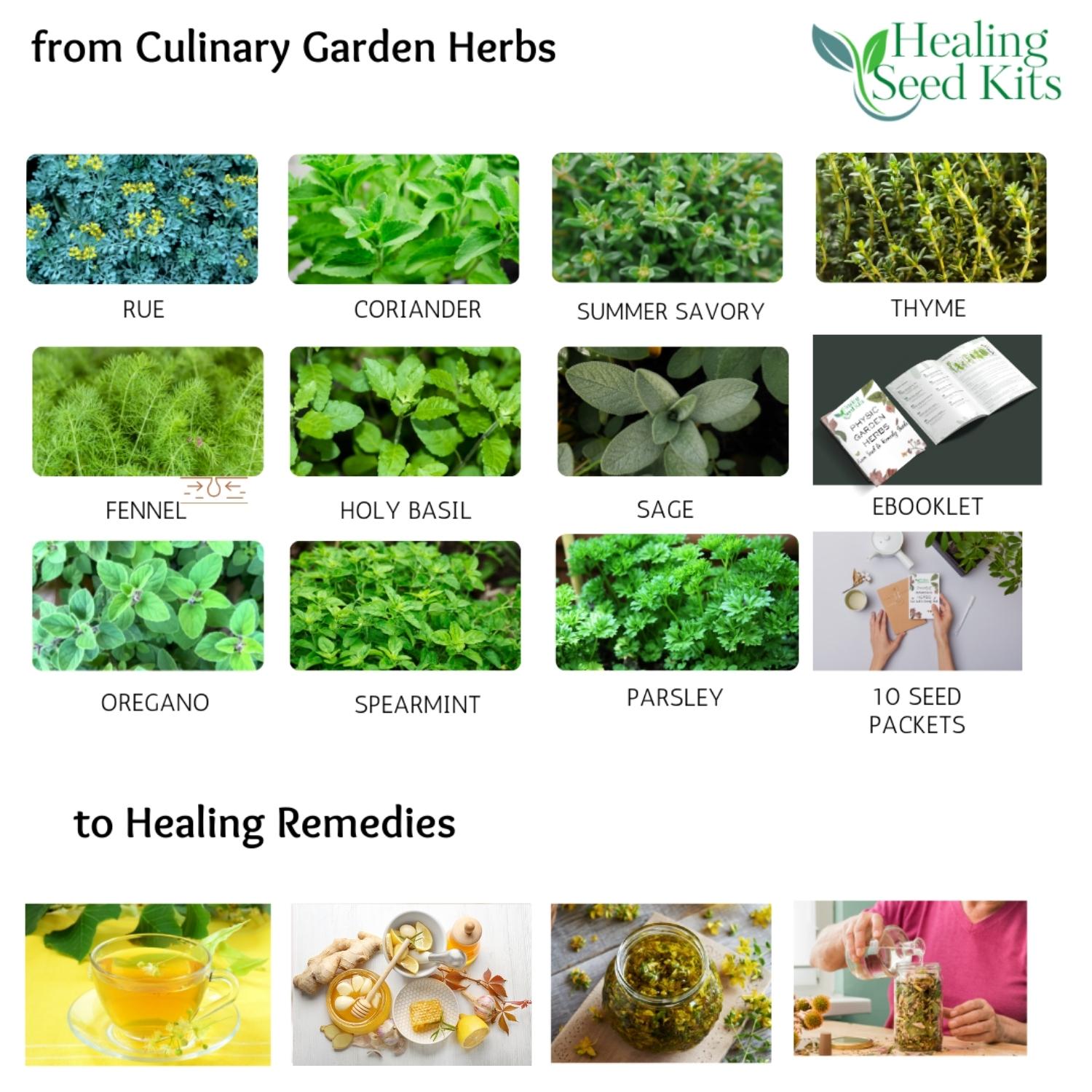 Culinary Healing Garden Herbs Kit