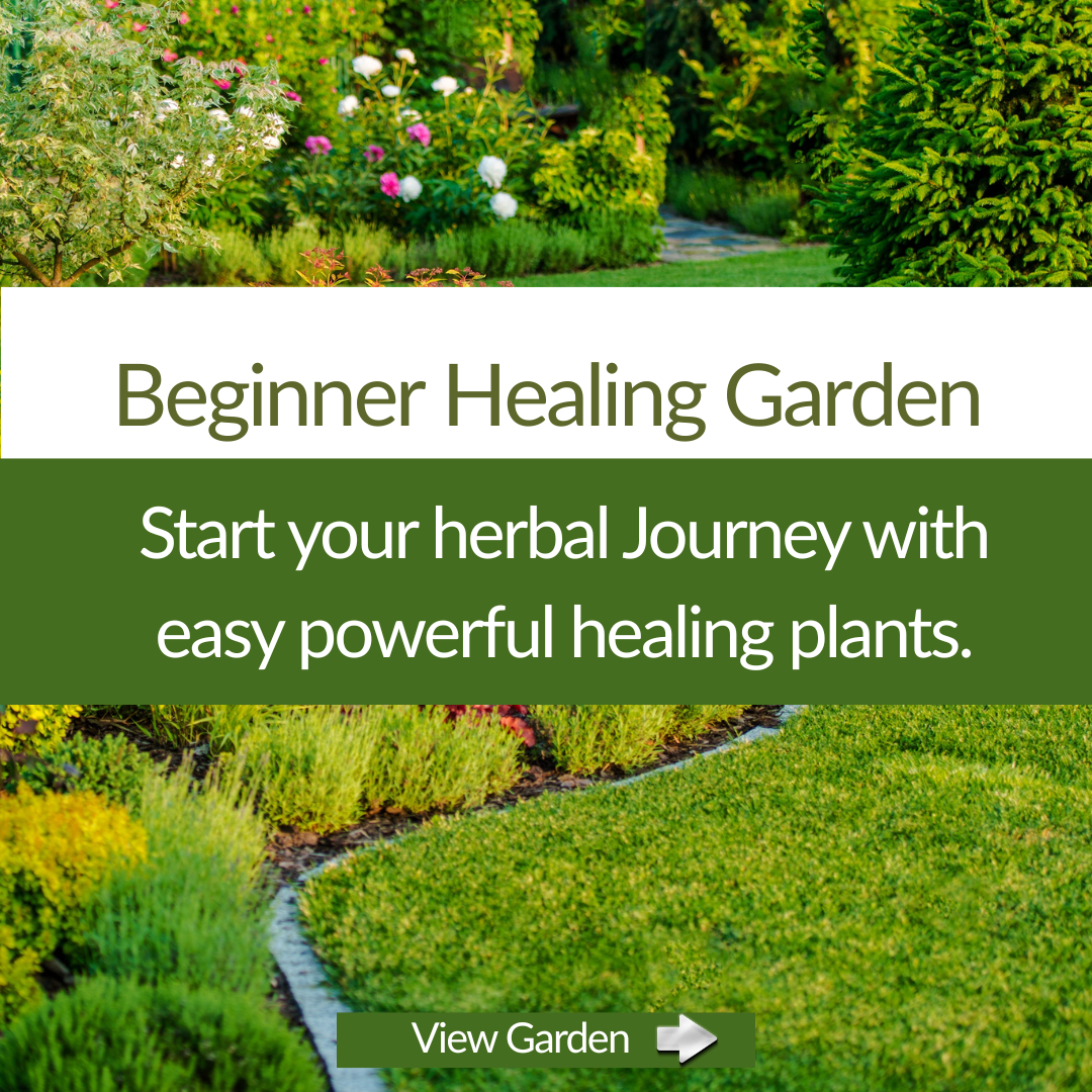 Beginner Healing Herb Garden Kit - The Healing Herb Garden