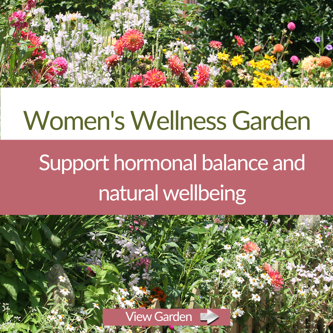 Women’s Wellness Garden – Herb Plant Kit - The Healing Herb Garden