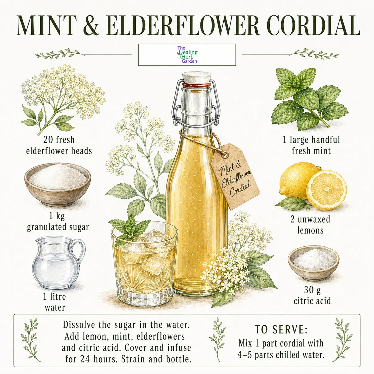 Mint & Elderflower Cordial Recipe