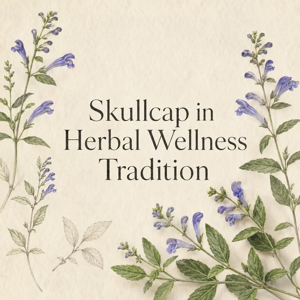 Skullcap in Herbal Wellness Tradition: What the Herbalists Say