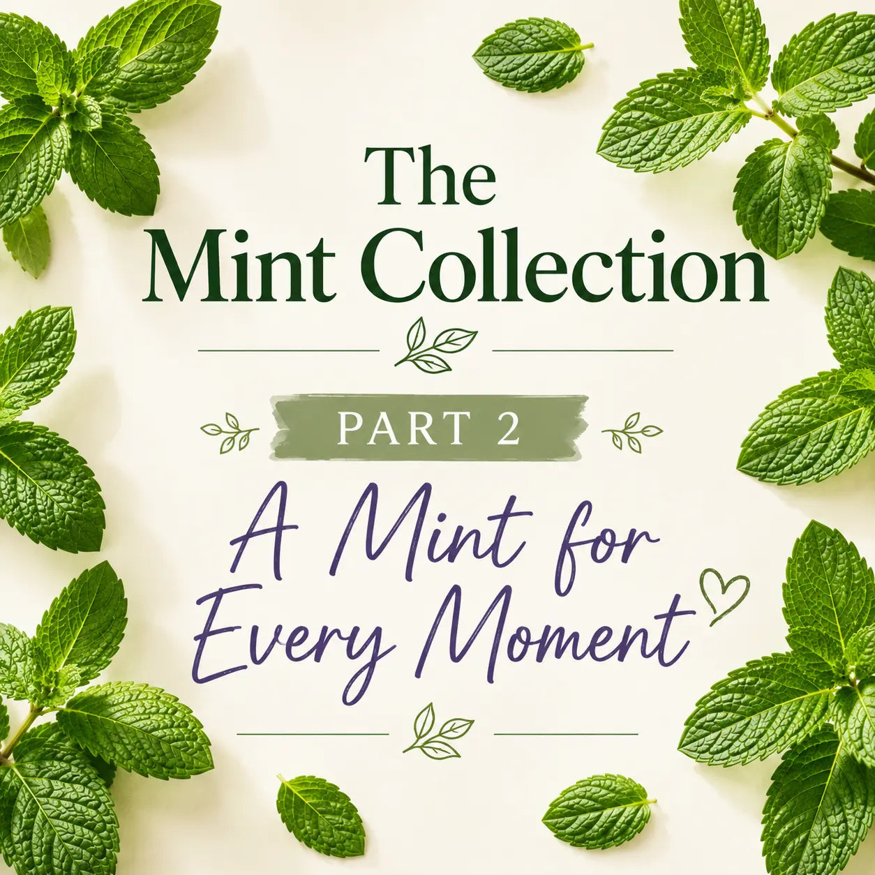 Recipes • Tea • Summer Drinks • Cooking • Choosing the Right Mint