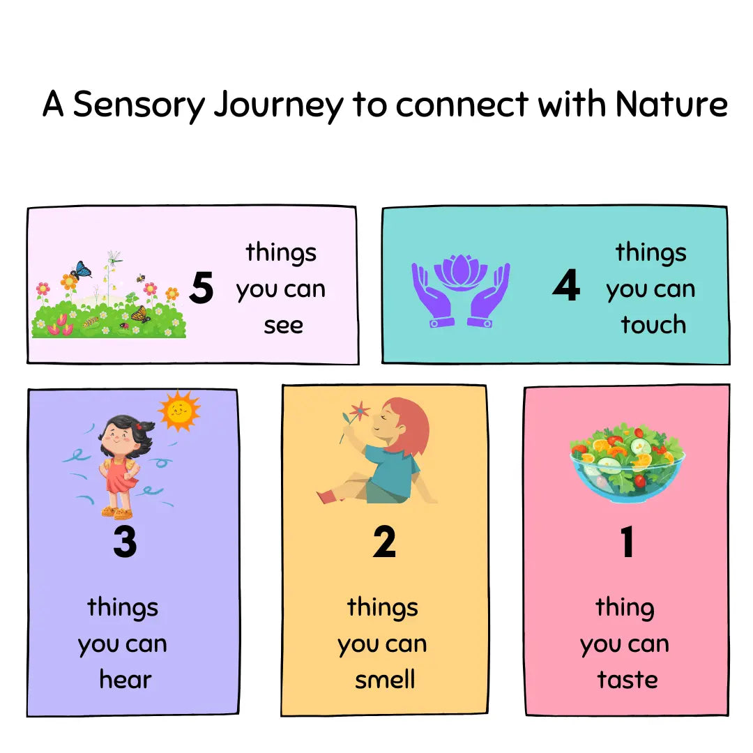 Cultivating Well-Being with Healing Seed Kits: A Journey through the Five Senses - The Healing Herb Garden