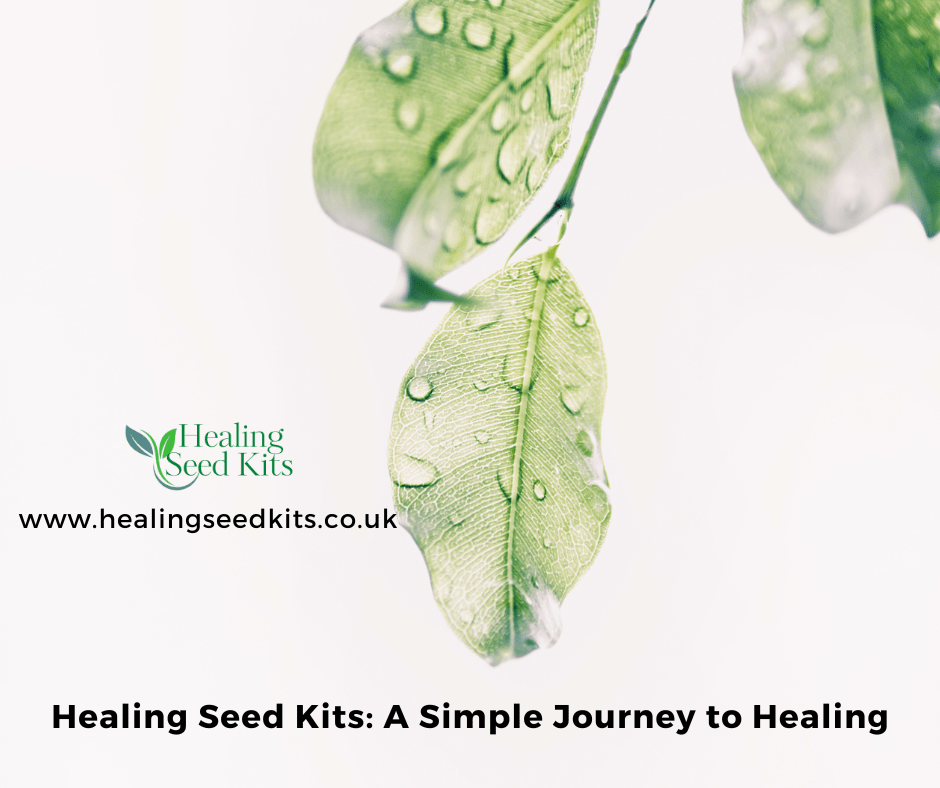 Healing Seed Kits: A Simple Journey to Healing - The Healing Herb Garden