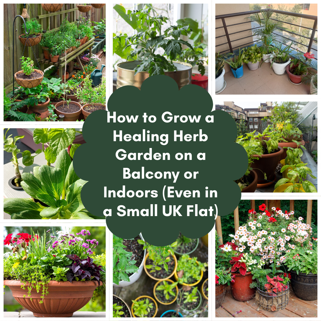 How to Grow a Healing Herb Garden on a Balcony or Indoors (Even in a Small UK Flat) - The Healing Herb Garden