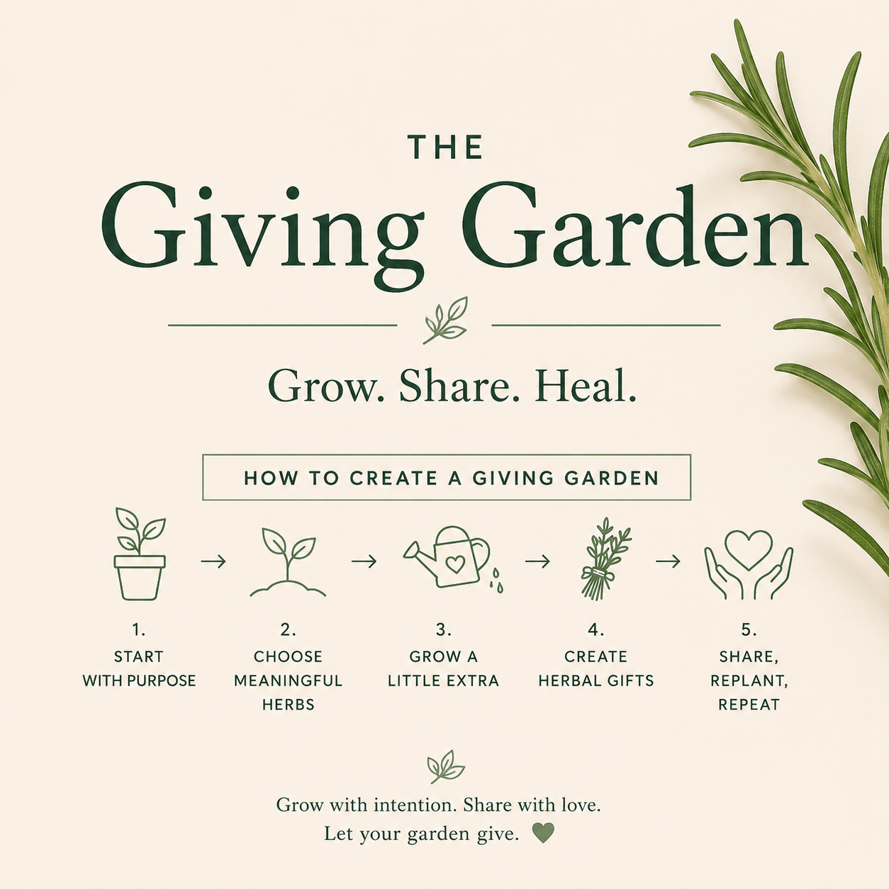 The Giving Garden: Growing More Than Plants - The Healing Herb Garden