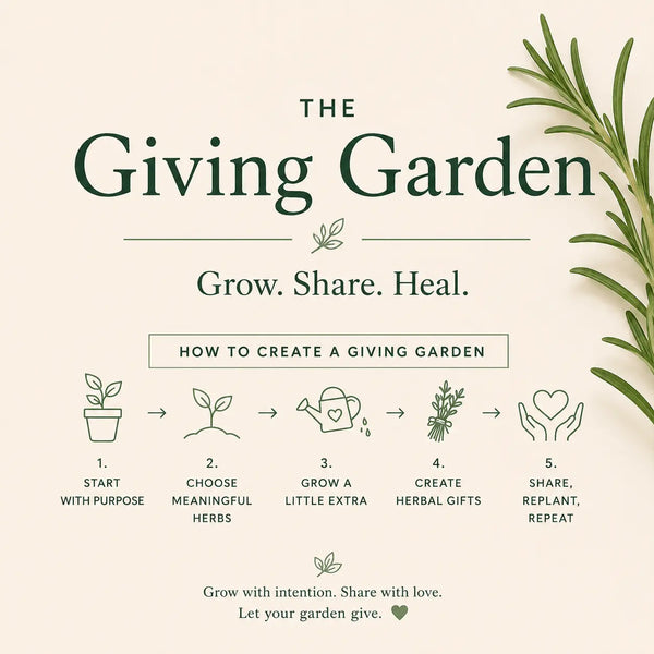 The Giving Garden: Growing More Than Plants