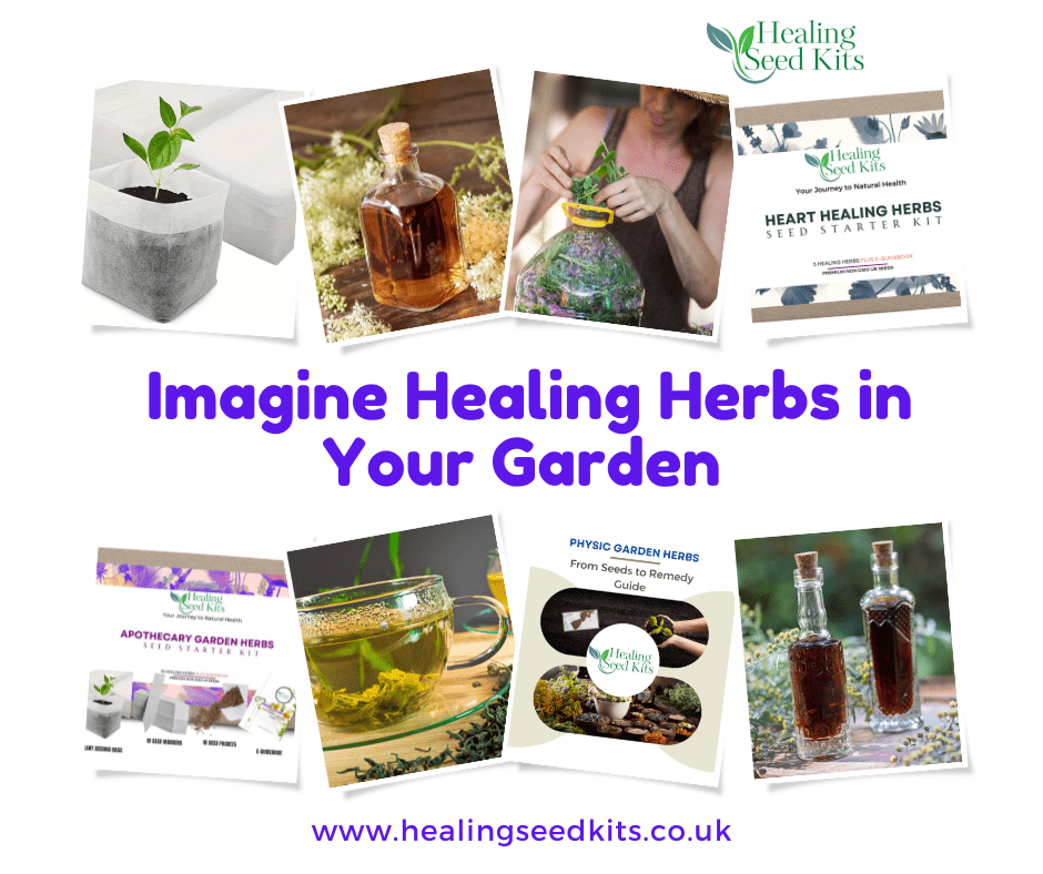 Why You Need Healing Seed Kit Herbs in Your Back Garden - The Healing Herb Garden