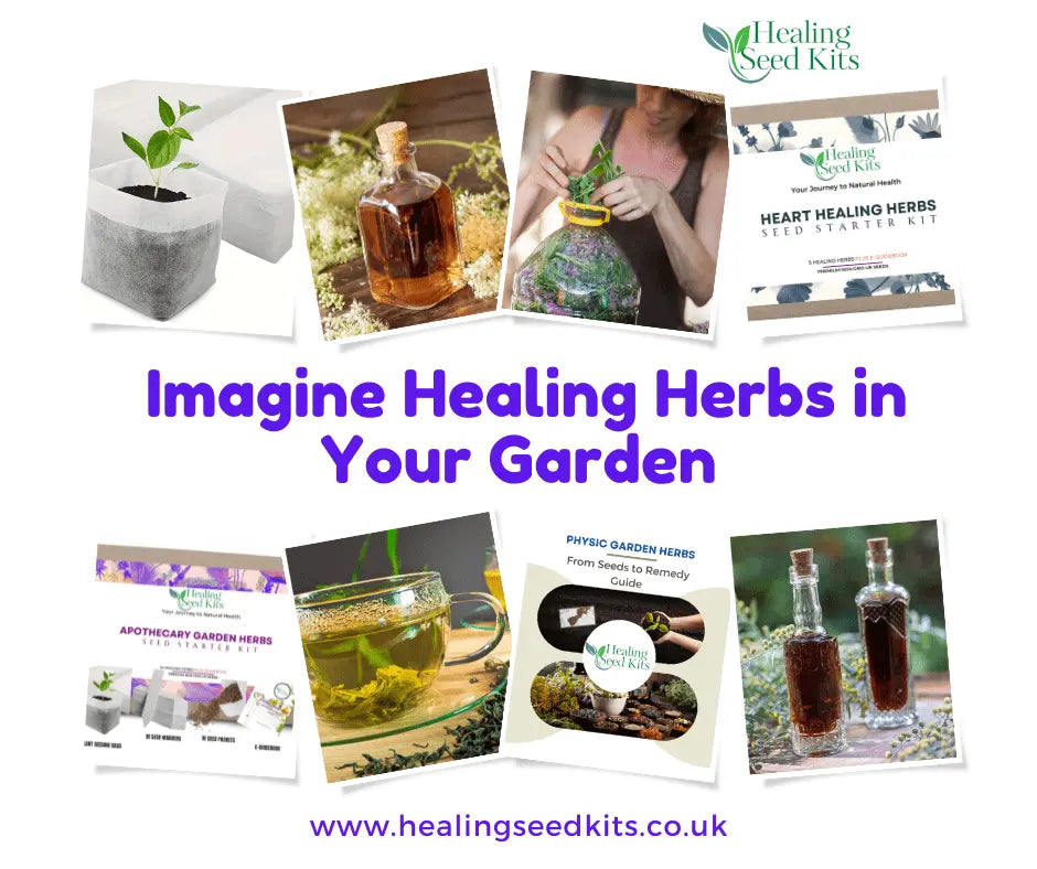 Why You Need Healing Seed Kit Herbs in Your Back Garden - The Healing Herb Garden