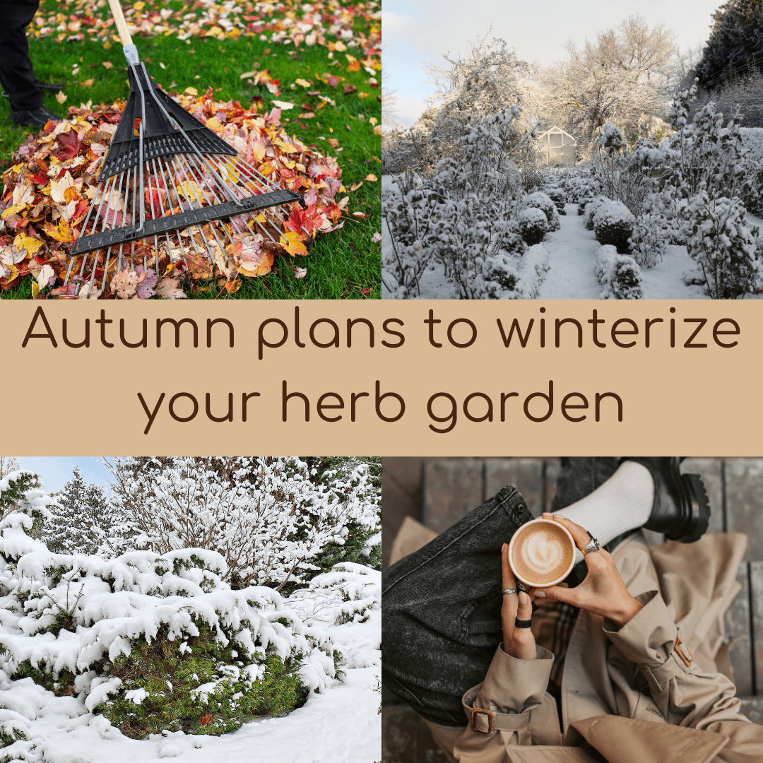 Winterize Your Herb Garden: 10 Essential Tips to Prepare for the Cold Season - The Healing Herb Garden