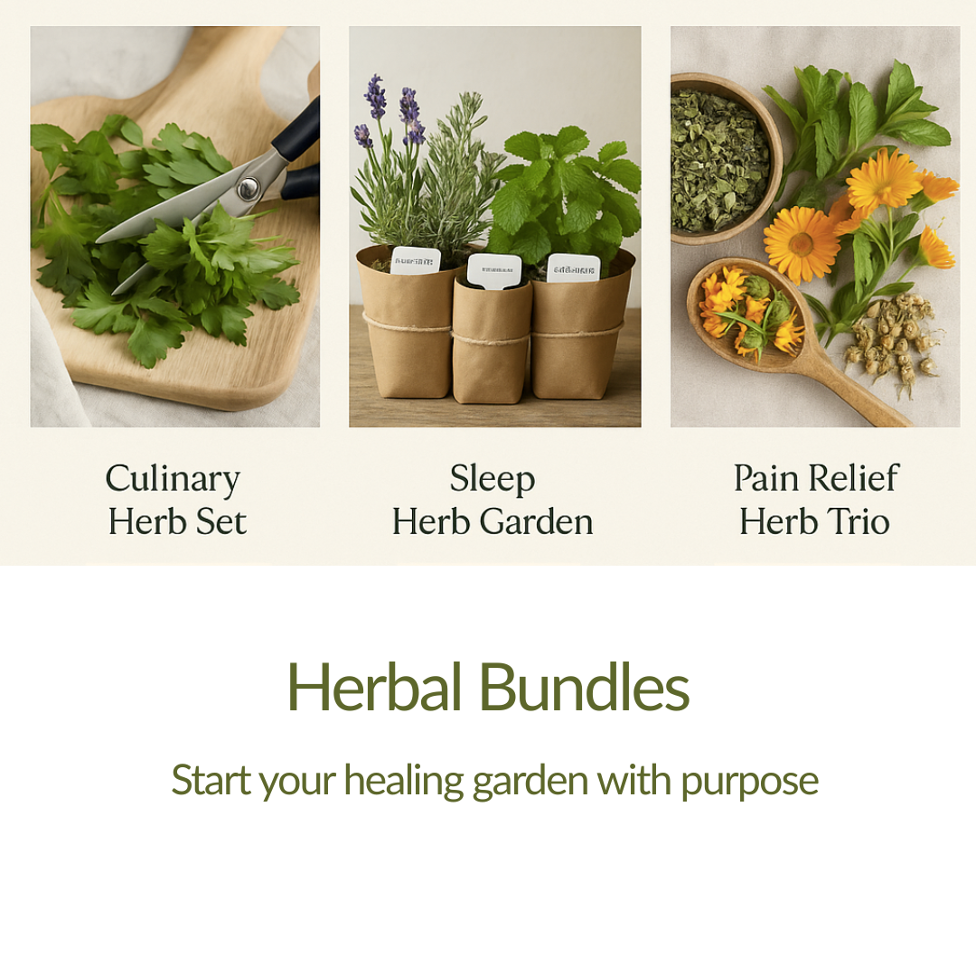 Plug Plants - Collections