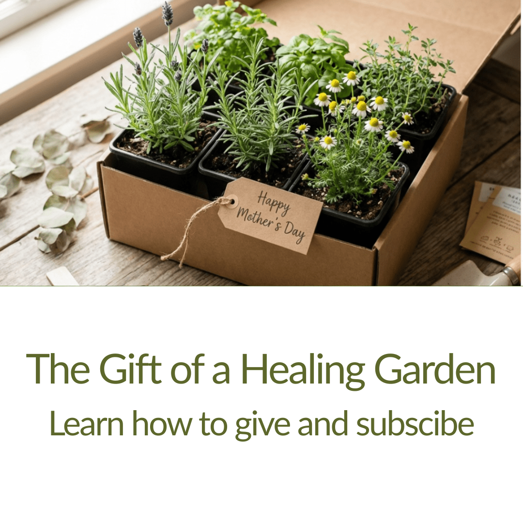 Grow Your Healing Garden on Monthly Herb & Seed Kits - The Healing Herb Garden