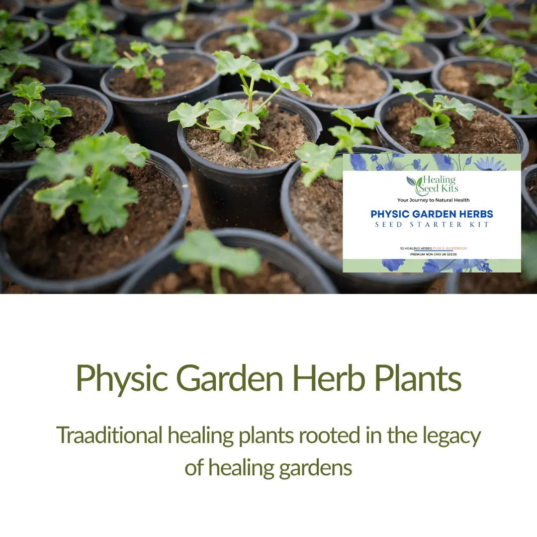 Physic Garden Herb Plug Plants - The Healing Herb Garden