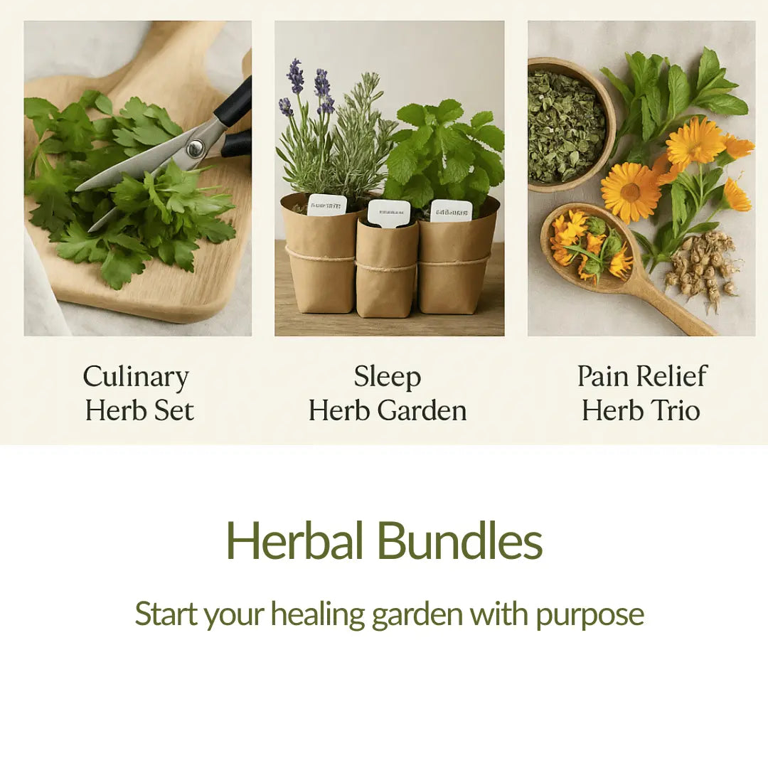 Plug Plants - Collections - The Healing Herb Garden