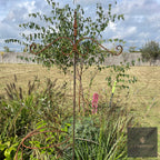 Bird Feeding Stake - Large, 2 arms.