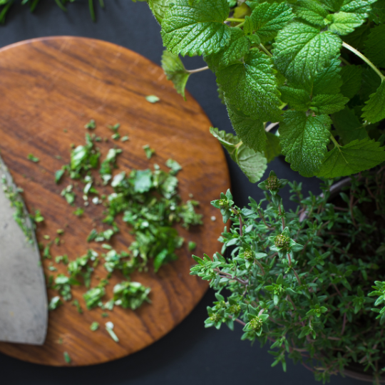Variegated Lemon Balm – Fragrant Herbal Tea
