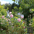 Swaying Birds / Insects Decorative Garden Stakes.