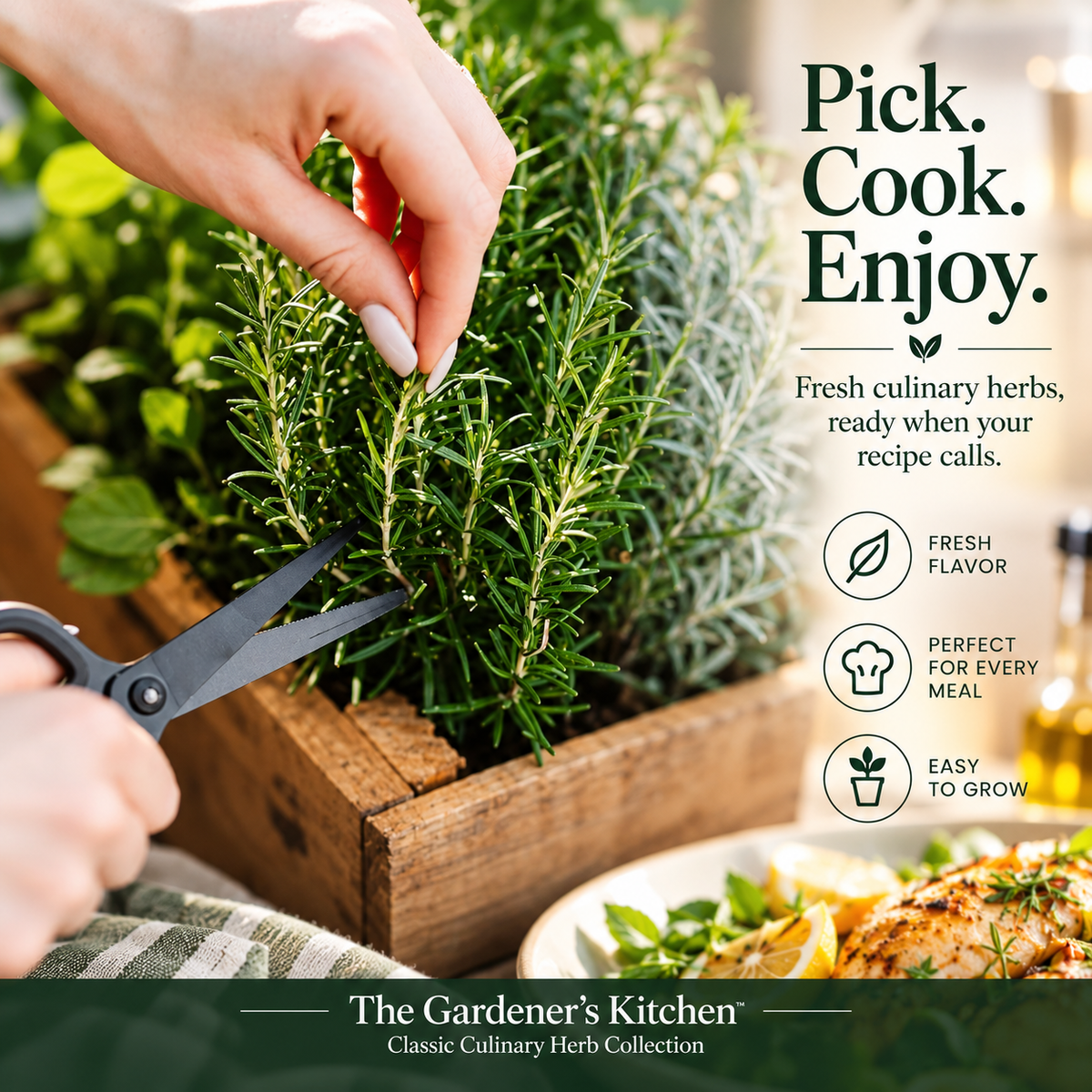 The Gardener's Kitchen – 6 Culinary Herb Plants UK