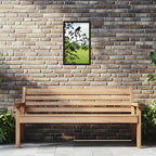 Song Birds Garden Mirror