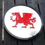 Welsh Dragon Garden Mirror