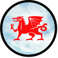 Welsh Dragon Garden Mirror