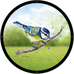 Blue Tit Garden Mirror