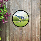 Blue Tit Garden Mirror