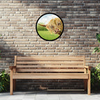 Highland Cow Garden Mirror
