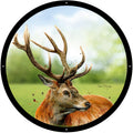 Sutherland Highland Stag Mirror