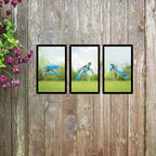 Turtle Tribe Mirror Set