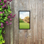 Highland Cow Garden Mirror