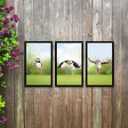 Puffin Parade Mirror Set