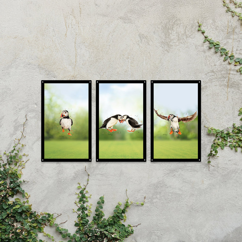 Puffin Parade Mirror Set
