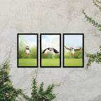 Puffin Parade Mirror Set