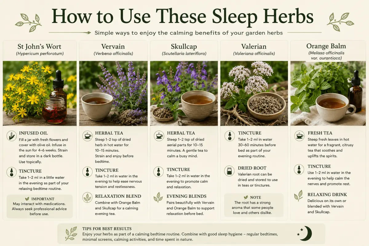 The Moon Collection - The Healing Herb Garden