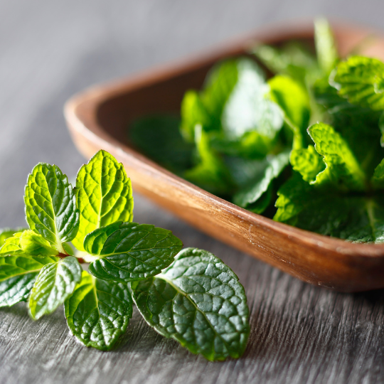 Bowles Mint – The Chef's Choice for Mint Sauce