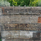 Trellis Panel