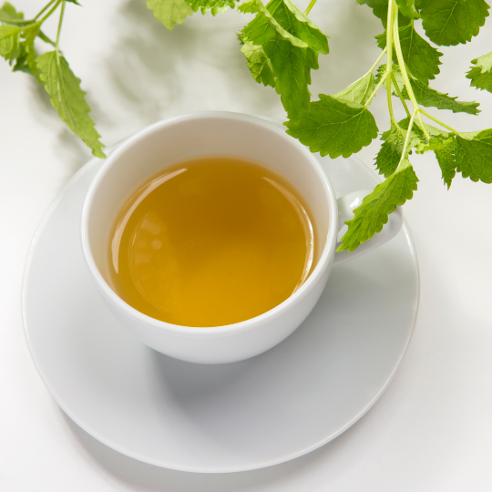 Variegated Lemon Balm – Fragrant Herbal Tea