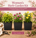 Herb Woman Garden – 3 Traditional Herb Plants UK