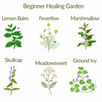 Beginner Healing Herb Garden Kit - The Healing Herb Garden